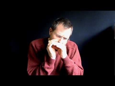 IRISH HARMONICA 5: The Bucks of Oranmore