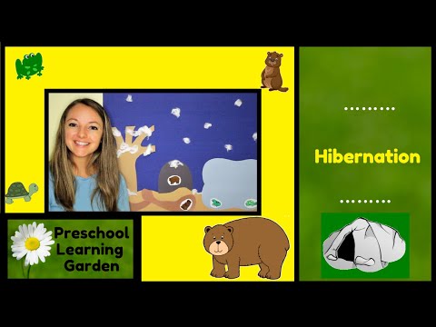 All About Hibernation