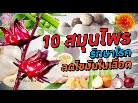 Sycosiform กลากว่ามันคืออะไร โรคสะเก็ดเงินที่บ้าน