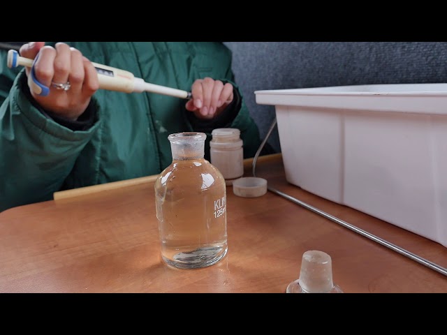 день охраны воды