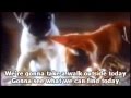 Milo and Otis Walk Outside Lyrics