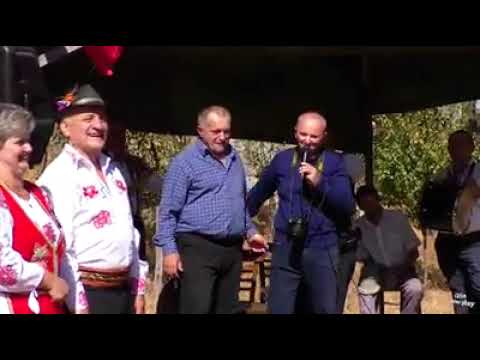 Prezentare evenimente Budești Arad