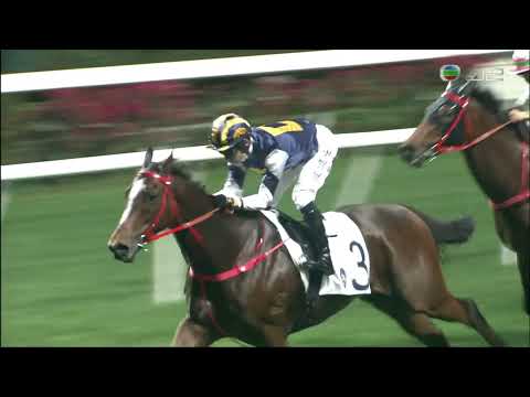 2021/22 (272) - Wild West Wing (過河勁卒) - 波健士 (路程首本對手弱一放到底贏馬)