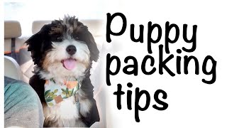 Puppy travel packing list | what we bring on a road trip with a bernedoodle puppy