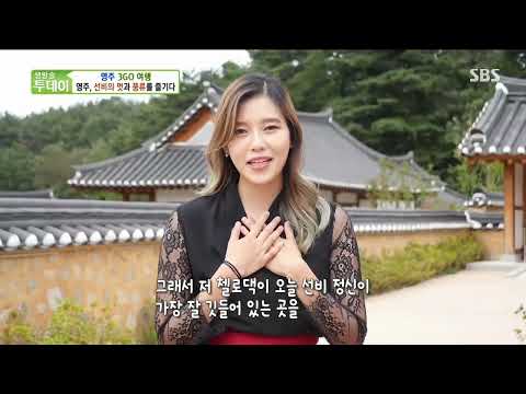 【SBS생방송투데이】 영주에서 보고, 먹고, 즐기고!!!