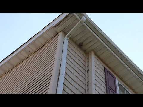 High Stakes Hornets Nest in Asbury Park, NJ