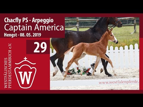 29 Captain America Hengst v. Chacfly PS - Arpeggio