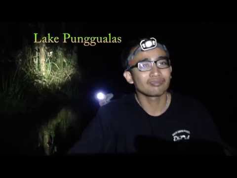 Discovery of big monster in the Punggualas lake Sebangau National Park Central Kalimantan.