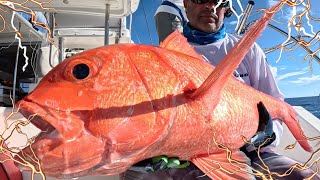 Catamaran Fishing Trip Seychelles Jigging Popping - 5 Difficult Fishing Days - YFS 2024