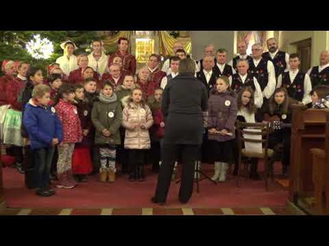 3. fotografia fotogalérie Videogaléria