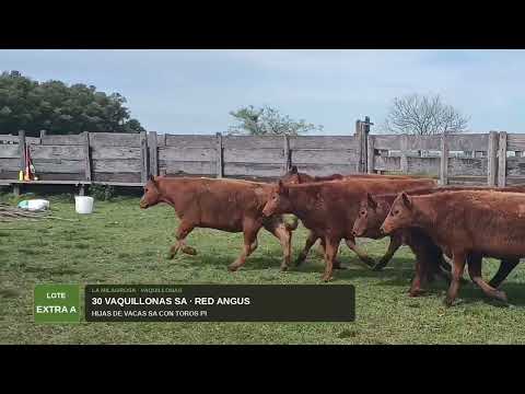 LOTE EXTRA A