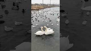 She never expected to see this moment 👏