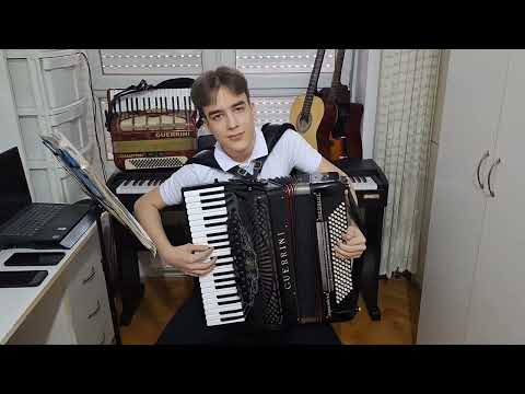 Marko Ristić - Kada padne prvi sneg - Harmonika