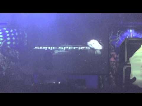 Traumtanz ॐ Tanz der Träume 19 - Sonic Species Part.1