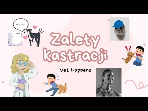 Kastracja - jakie są jej zalety? 