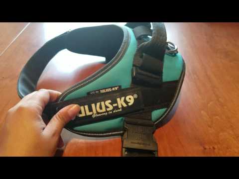 Julius-K9 Product Review- IDC Powerharness