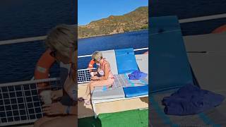 Another Awesome Boat Trip In The Aegean Sea Coast