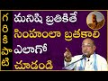 మనిషి బ్రతికితే సింహంలా బ్రతకాలి ఎలా