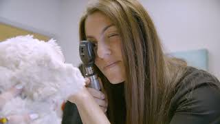 Join the Catskill Vet Services Team