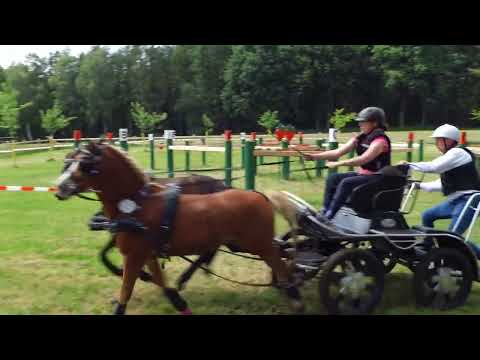 Fahrturnier Alfhausen 22.5.2022