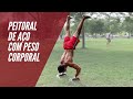 TREINO BÁSICO PARA UM PEITORAL DE AÇO
