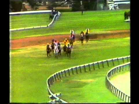 1989 VRC Grand National Steeple Day _ Races 1 and 4