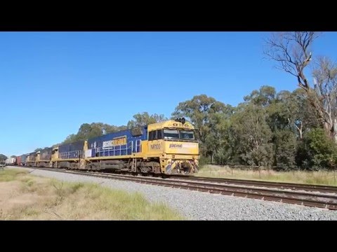 Junee Trains NR100, NR48, NR8 & NR42 with 5MW2
