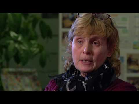 Rechtstreeks uit de Raad (15 februari 2017) Jeugdzorg