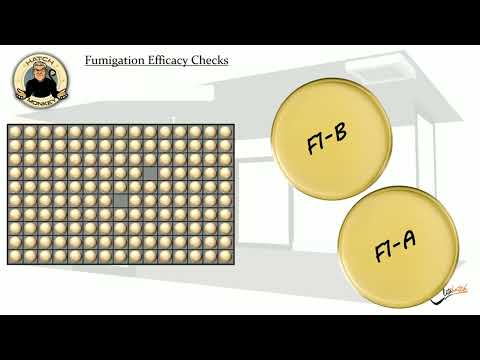 Fumigation Efficacy Checks