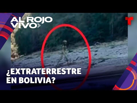 Captan supuesto extraterrestre caminando por un río de Bolivia