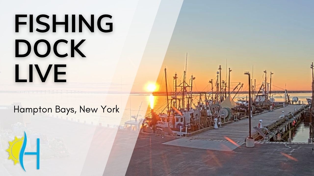 Live webcam view of Shinnecock Commercial Fishing Dock