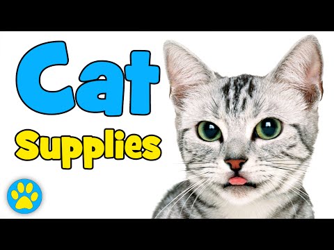 download lagu mp3 mp4 Cat Care Checklist, download lagu Cat Care Checklist gratis, unduh video klip Cat Care Checklist