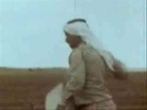 Horizon 222 - beyond the horizon (mother of everything)