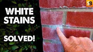 New Bricks Going White? Here's Why Washing Them Is Wrong