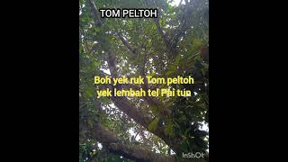 Download lagu 4 November 2022 mp3 Download lagu 4 November 2022 mp3