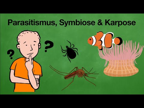 Symbiose, Parasitismus & Karpose | Wechselwirkungen