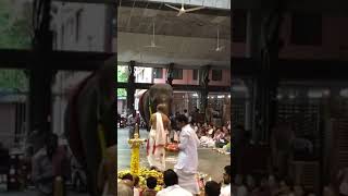 Ganpati Bappa 😘  Cute Video  Elephant dancing  