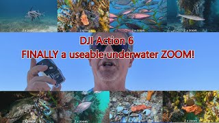 The DJI Action 6 2x Zoom is a Game Changer for DJI underwater!