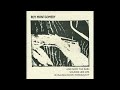 Roy Montgomery - And Now The Rain