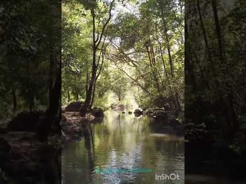 hino CCB 159 |Deus amou o mundo| como encontrar o verdadeiro amor de Deus