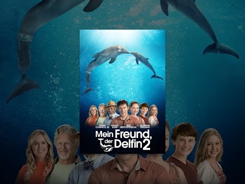 Mein Freund, der Delfin 2