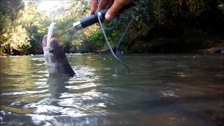 preview picture of video 'Pescando Tabarana no São José. Votuporanga Pescaria.'