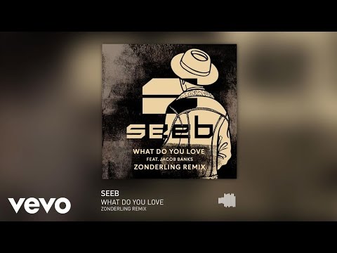 Video thumbnail for What Do You Love (Zonderling Remix)