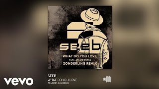 Seeb - What Do You Love (Zonderling Remix) ft. Jacob Banks