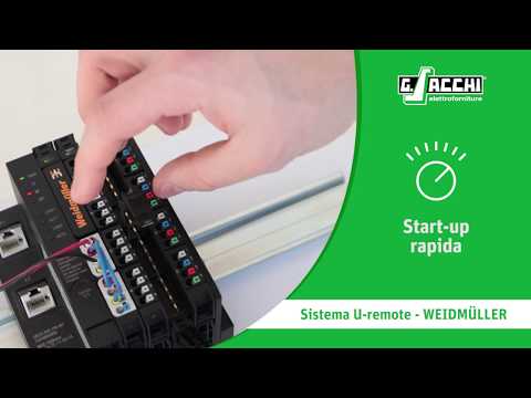 Ripristinando la potenza rapidamente Pistacchi per la potenza maschile