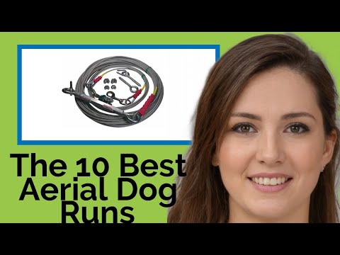 👉 The 10 Best Aerial Dog Runs 2020  (Review Guide)