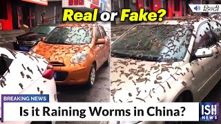 Is it Raining Worms in China?
