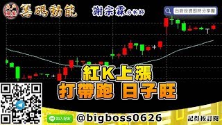 【大戶羅盤籌碼動能】 #謝宗霖0520，紅K上漲 打帶跑 日子旺 (圖)