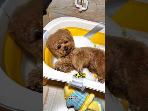 ❤️🧴 لحظة ممتعة ومليئة بالحب عندما حمّمت الأم طفلها 😄🛁 #shortsvideo