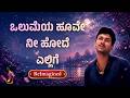 ಒಲುಮೆಯ ಹೂವೇ ನೀ ಹೋದೆ ಎಲ್ಲಿಗೆ ಪುನರ್ಜನ್�